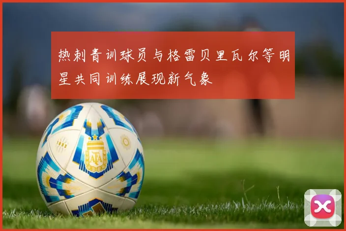 热刺青训球员与格雷贝里瓦尔等明星共同训练展现新气象